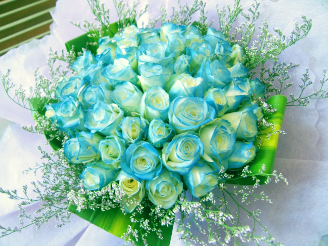 Thư chúc mừng nữ CBCNV nhân ngày 8/3 